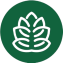 Greencosolution